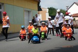 p6165531-thmb.jpg